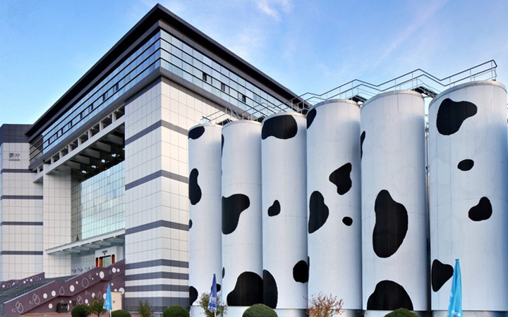 從單一申請到復(fù)合業(yè)務(wù)委托，三聚陽光贏得蒙牛好評